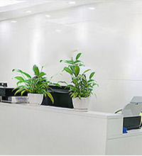 安菲APP开发优势