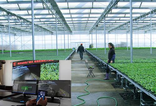 草莓种植APP开发软件