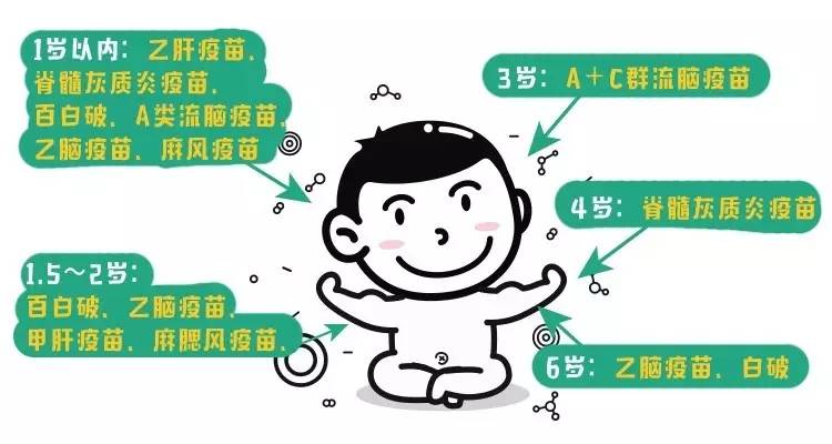 APP开发