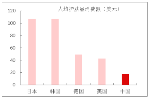 APP开发